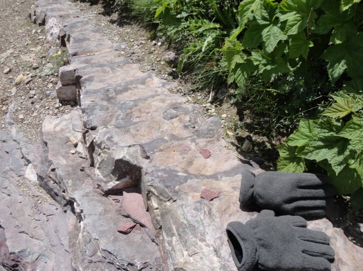Ripple marks in the Grinnell Formation at Grinnell Glacier. Gloves for scale.